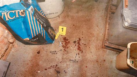 alex murdaugh crime scene photos|Photo Gallery: See evidence photos from Alex Murdaughs ...